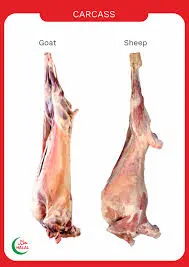 Mutton, 10kg (Sheep/ Goat)/?