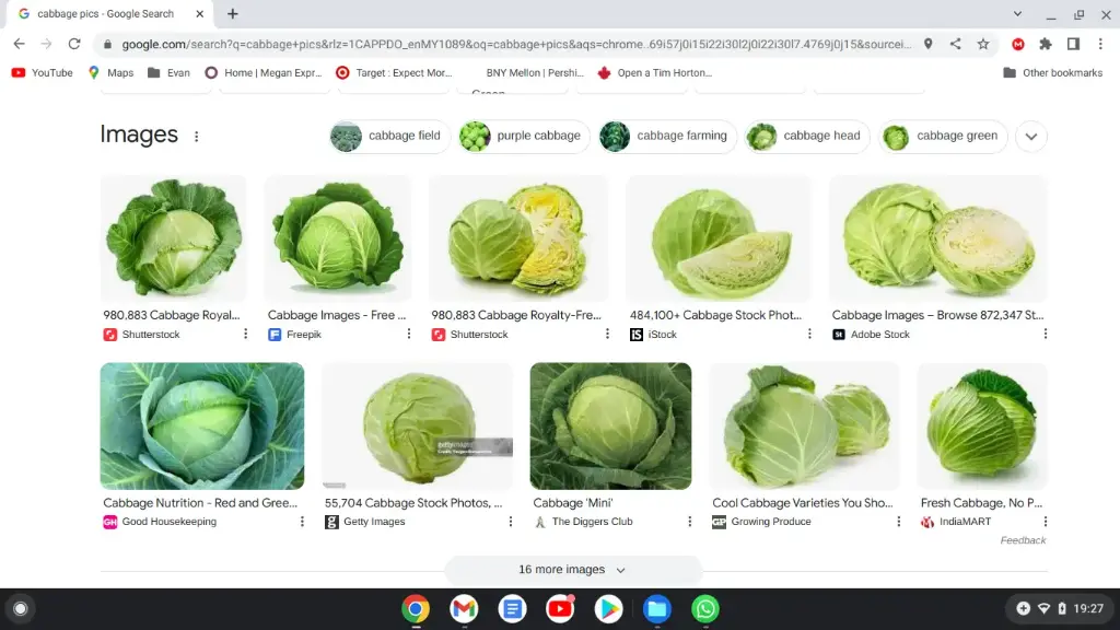 MKT1_cabbages