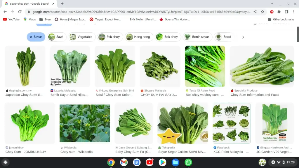 Veges()*-choy sam