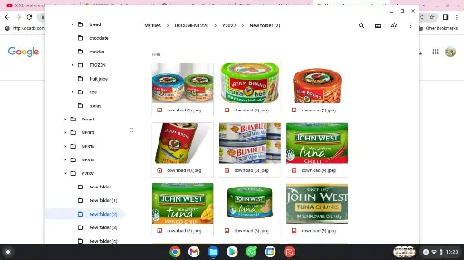 CONSOLE2 Tuna canfood