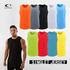 Coloured singlet