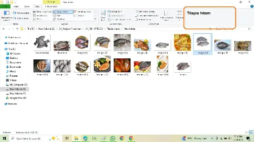 Tilapia hitam