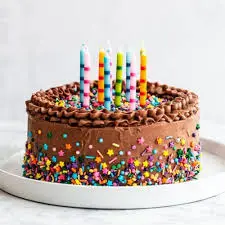 Tmn Megan chocolate cakes