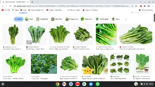 MKT1_choy sam