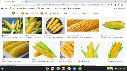 MKT1_Corn; rice, grains
