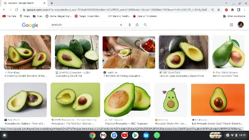 Veges1_Avocado