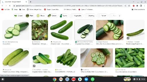 Veges1-2-3