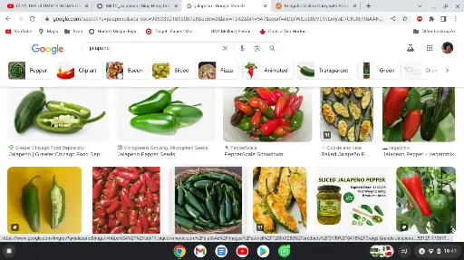 M6-b Jalapenoes