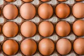 Omega eggs @DBI; DBKL
