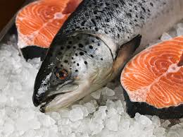 Salmon fish- Organic 3kg
