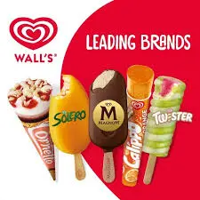 WALL's ice cream()*