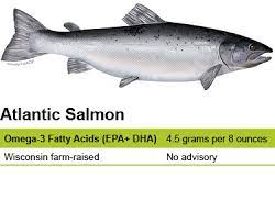 Atlantic salmon; 3kg