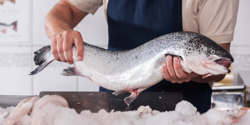 Norwegian salmon fish, 3kg